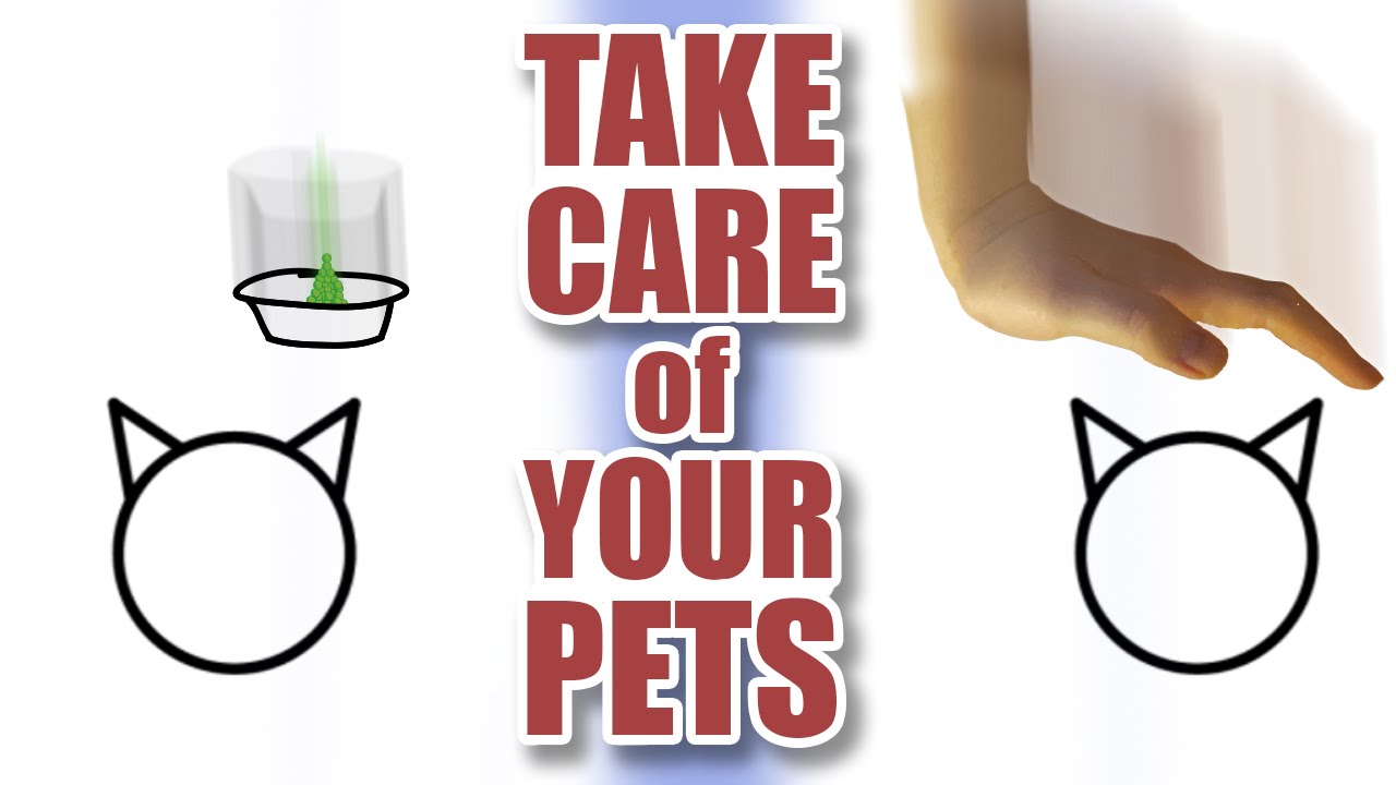 Take Care of Your Pets