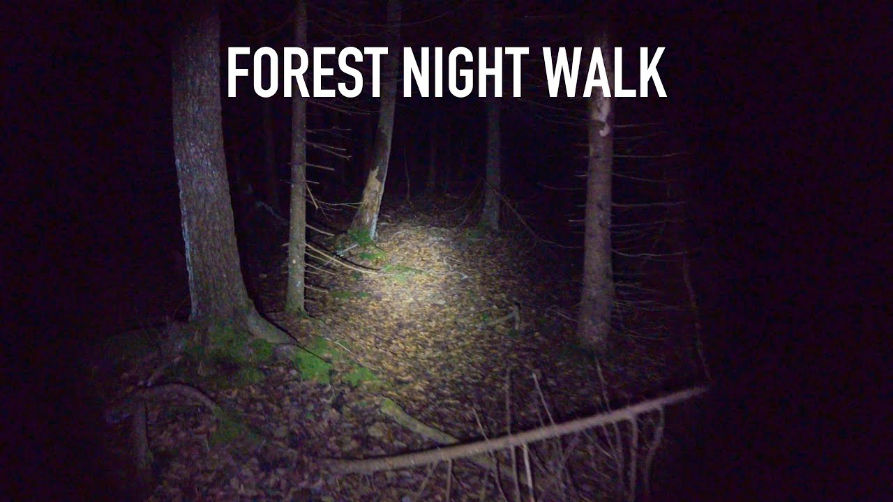 Scary Forest in Sweden - Night Walk (4K, ASMR)