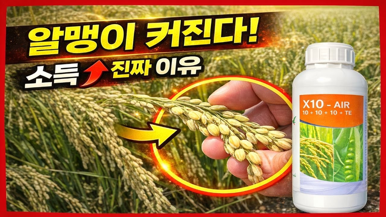 2만평 비교해보니… 수확량 차이 확인