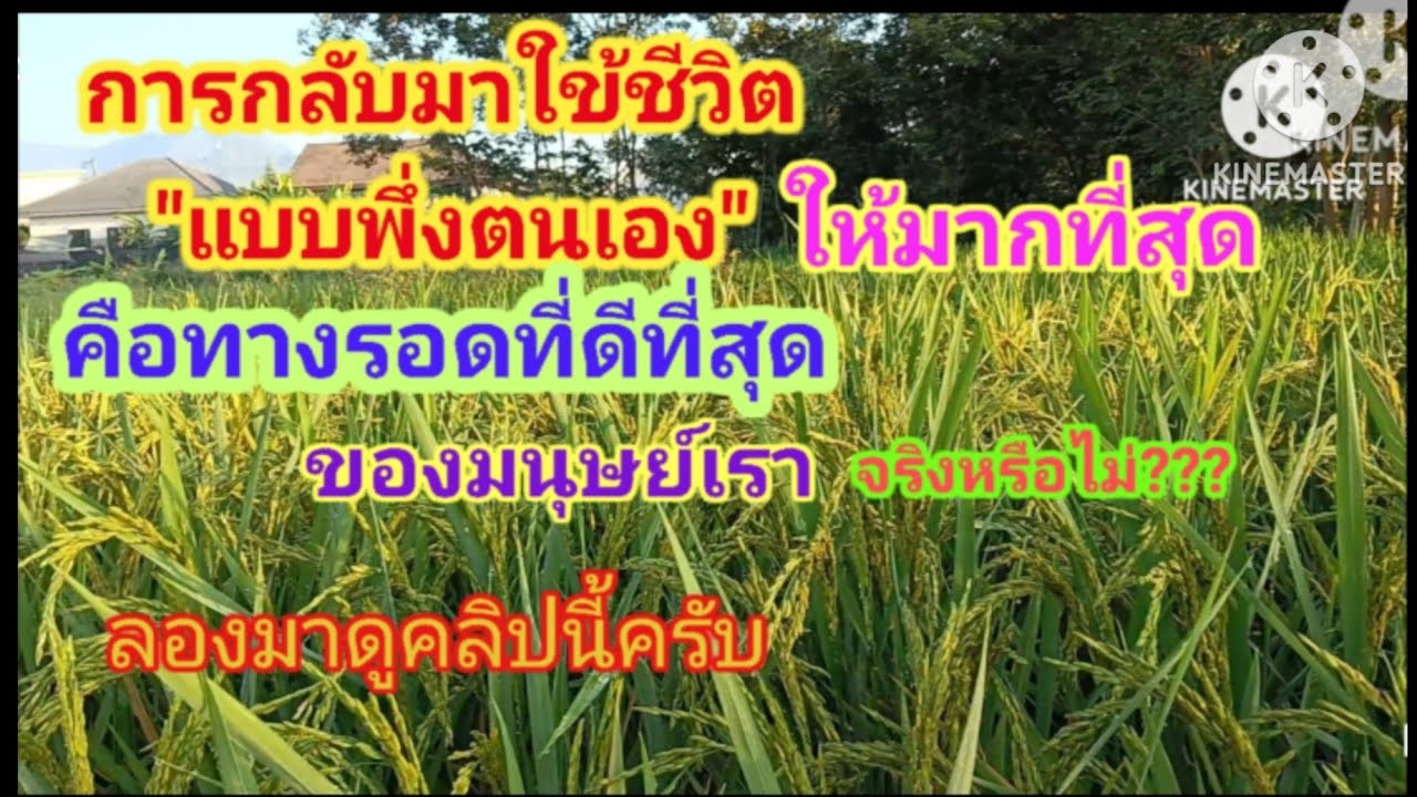 การกลับมาใช้ชีวิตแบบพึ่งตนเองให้มากทึ่สุดคือทางรอด จริงหรือไม่...