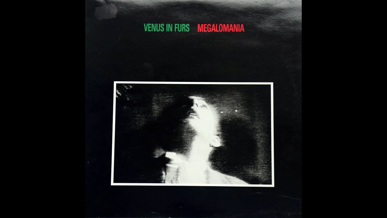 The Purist - VENUS IN FURS