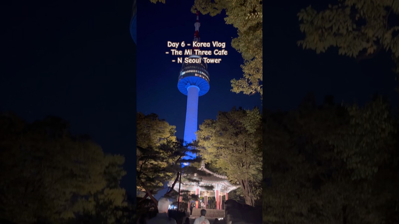 Day 6 - A visit to The Mi Three Cafe and N Seoul Tower #dailyvlog #travelvlog  #wheninkorea