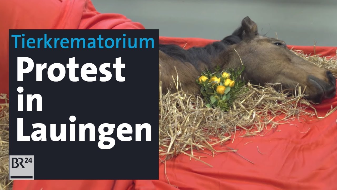 Tierkrematorium Lauingen: Pietätlos oder Chance für die Stadt? | BR24