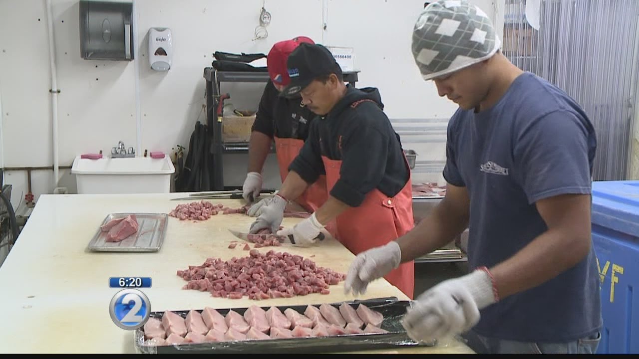Wake Up 2day: Suisan Fish Market