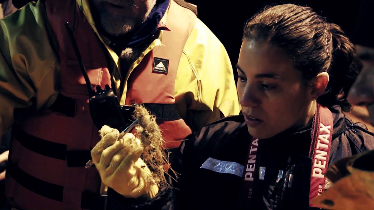 Historias de Ciencia: Capítulo 2: Oceanografía