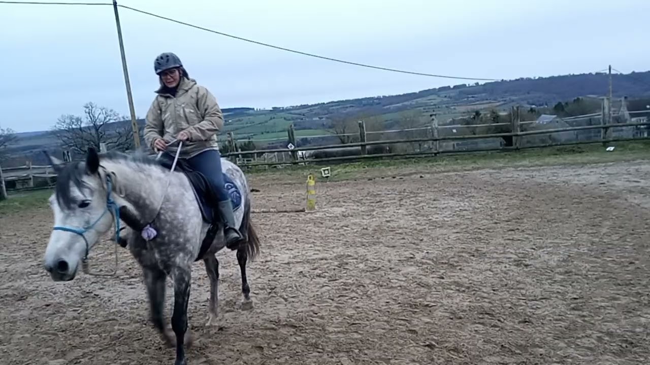 Equifeel virtuel Caval Go 2026, montée 2 manche 2, June d'Ouilly et Karine Boscher 