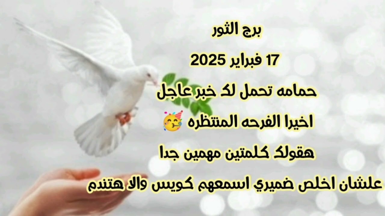 برج الثور 17 فبراير 2025//حمامه تحمل لك خبر عاجل 💫   هقولك كلمتين مهمين جدا علشان اخلص ضميري اسمعهم