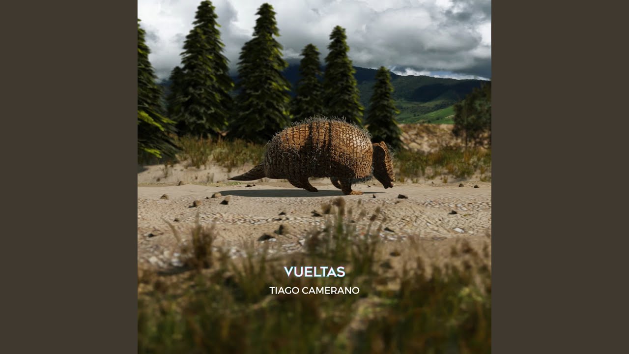 Vueltas