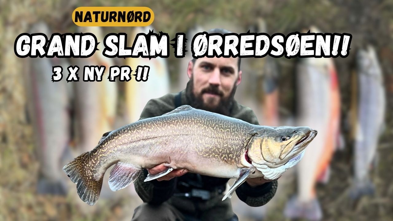 ARTSFISKERI I TUSAAGAARD P&T - BEDSTE TUR NOGENSINDE // NATURNØRD 717