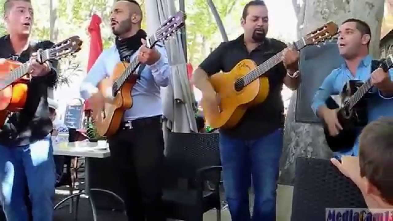 CONCERT DES NEW GYPSIES -  BRASSERIE LOUIS VII - ARLES FERIA DU RIZ
