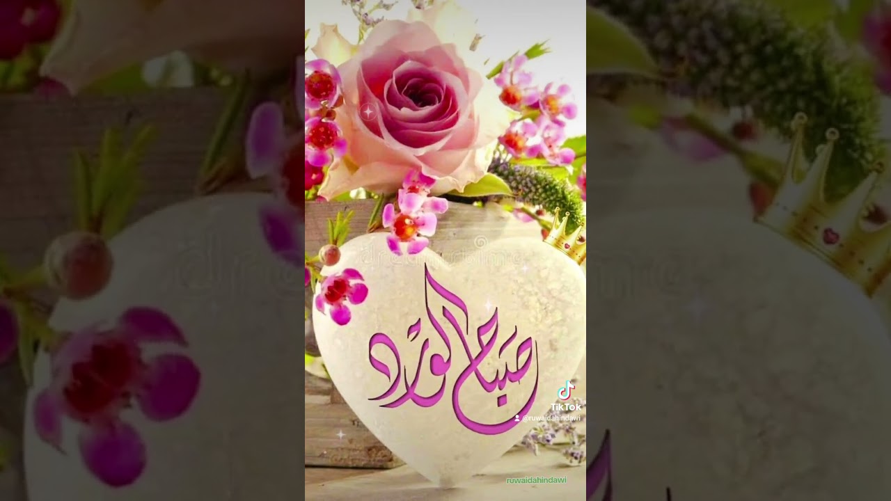 يا أبها الإنسان مهلا إنتبه