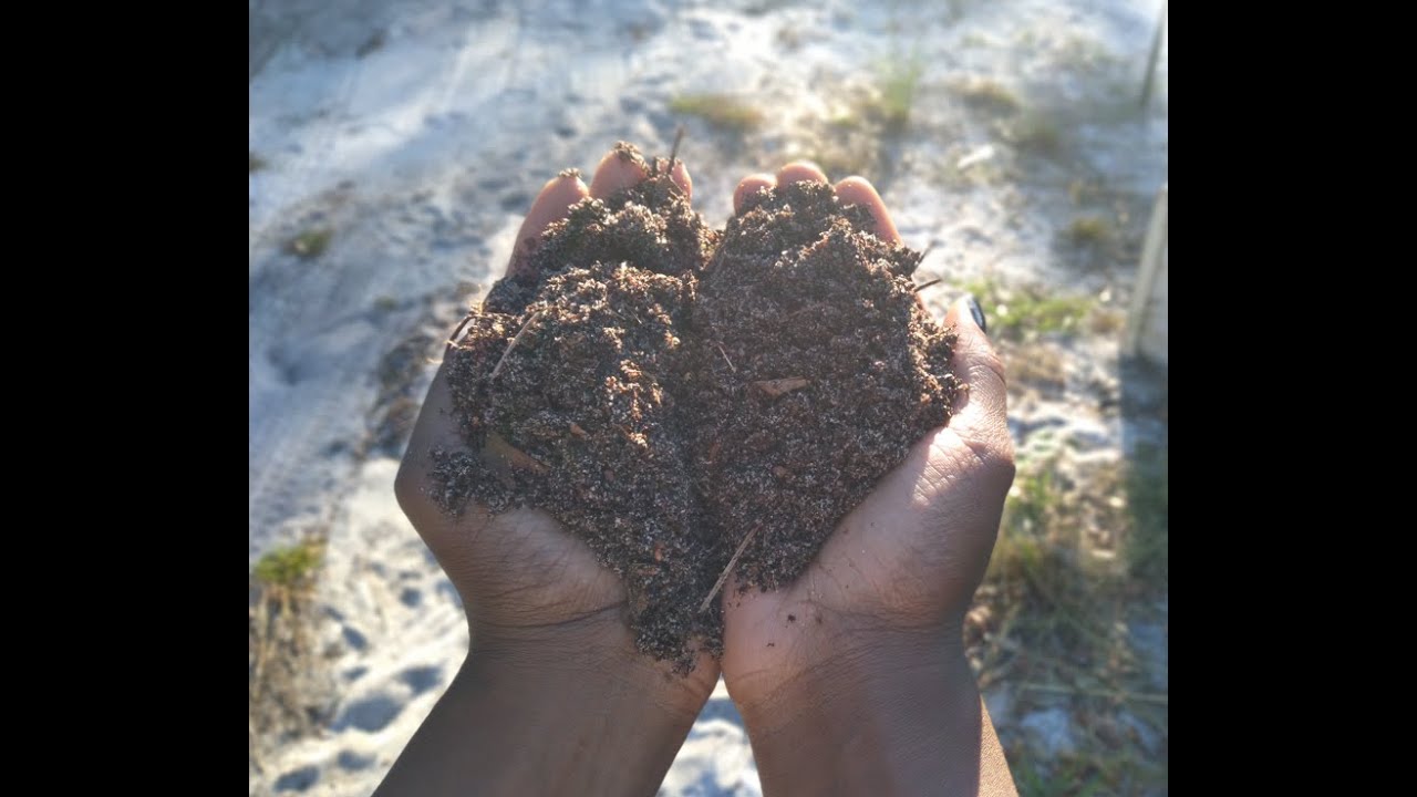 Making FREE soil!