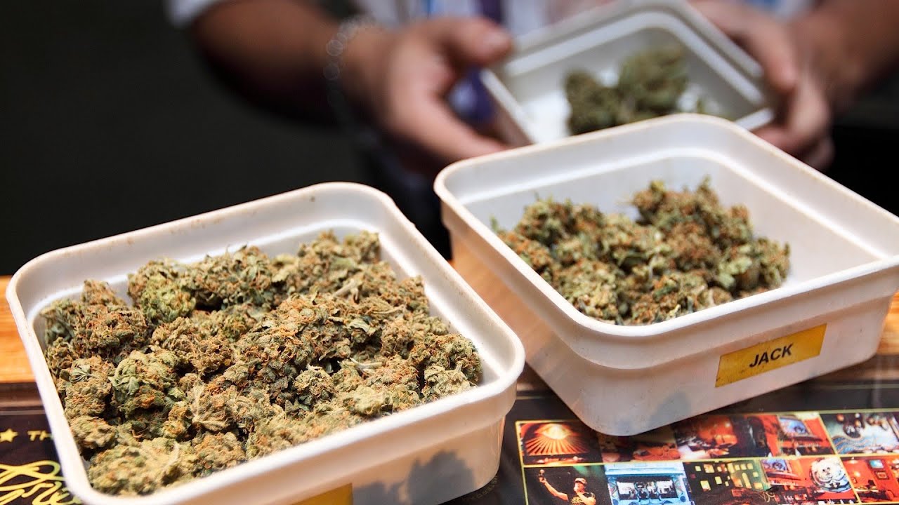 Medical Marijuana & the Community | Marijuana