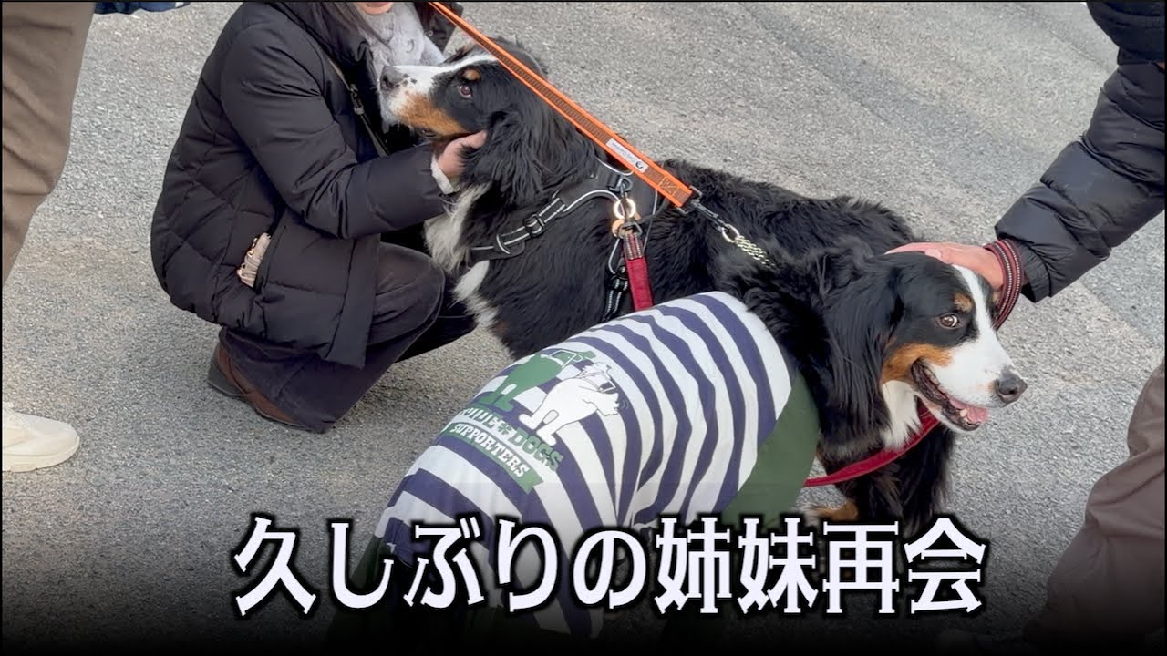アンちゃんに会いに行こう！