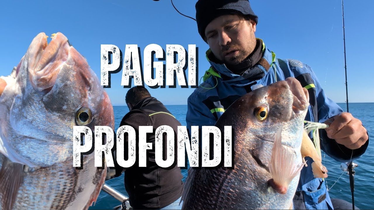 Pagri profondi in verticale,che divertimento pescando leggeri!