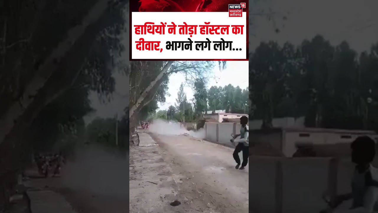 Pendra Elephant Viral Video : पेंड्रा में हाथियों ने तोड़ा हॉस्टल का दीवार, भागने लगे लोग... | N18S