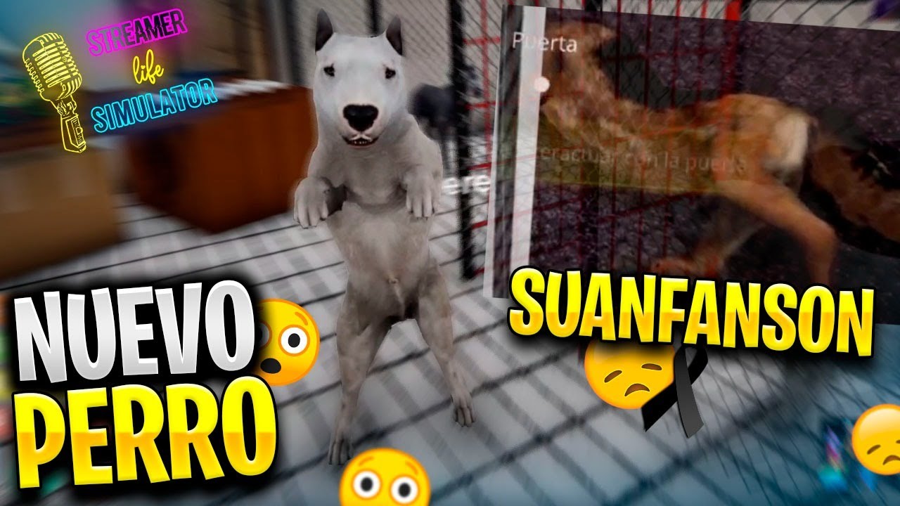 REMPLAZAMOS A SUANFANSÓN, SE ACERCA EL FINAL | Streamer Life Simulator #12