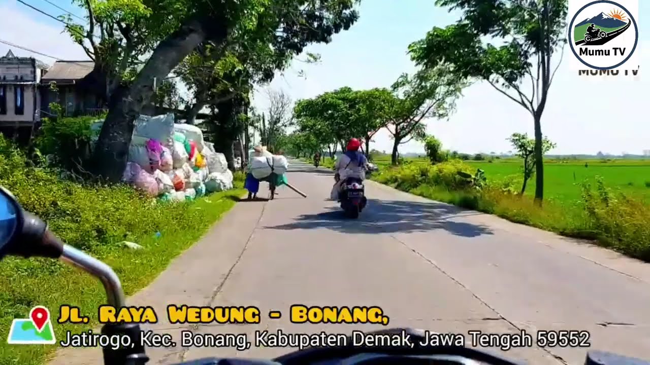 MOTOR VLOG Indahnya Persawahan yg ada di Demak #vlog #jalanjalan #pedesaan 