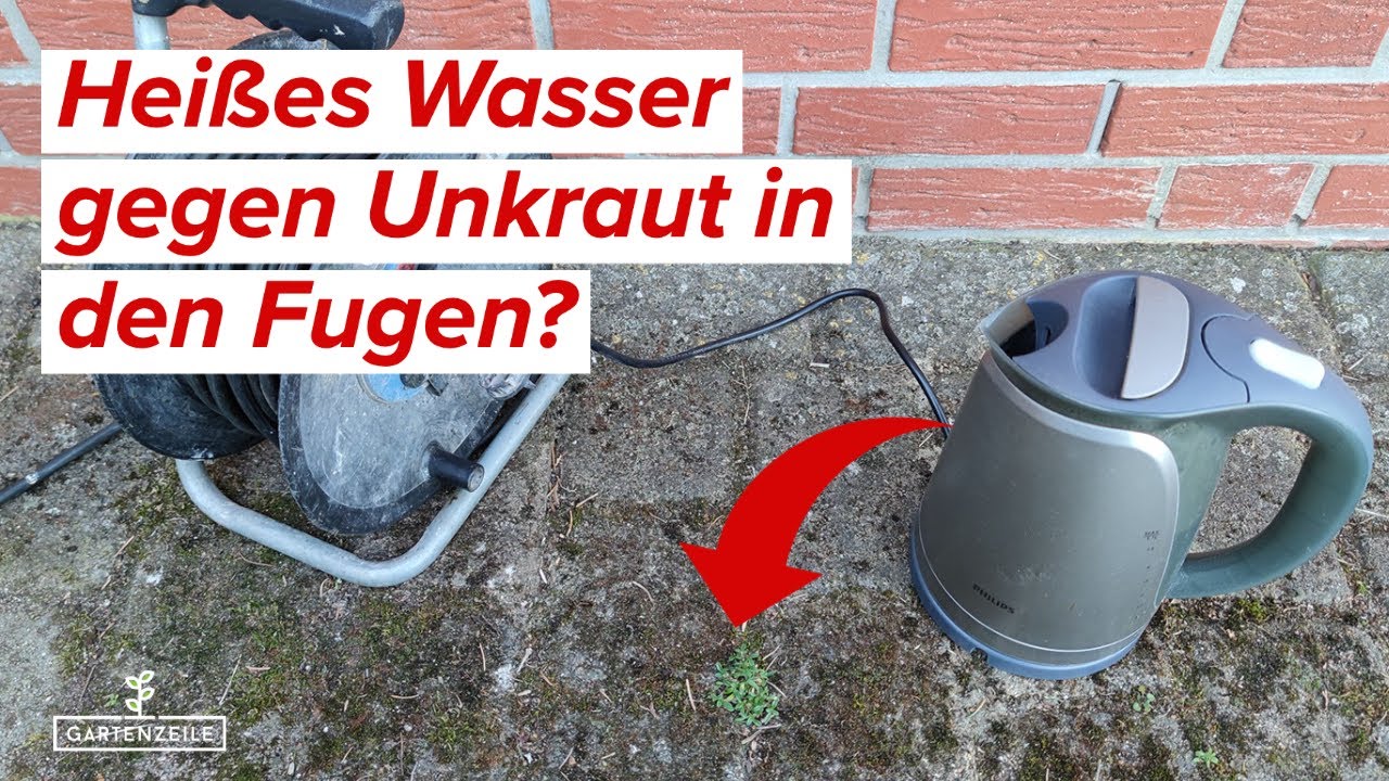 Unkraut mit heißem Wasser entfernen? Unkraut ohne Chemie aus den Fugen entfernen!