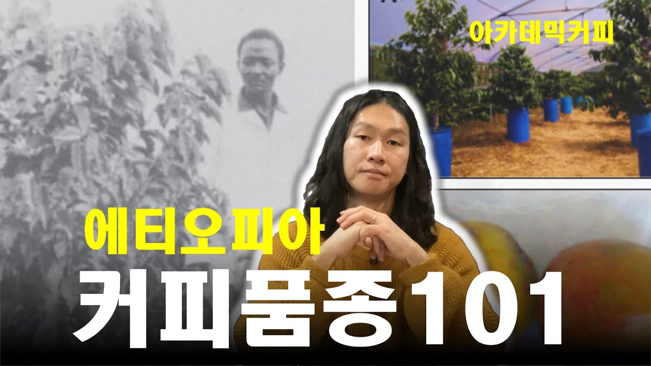 커피 덕후라면 꼭 알아야 할 에티오피아의 품종의 진짜 이야기