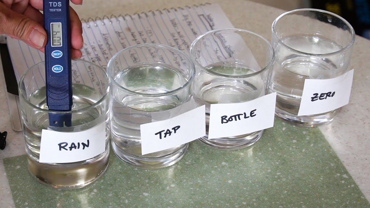 What water to use for Carnivorous Plants