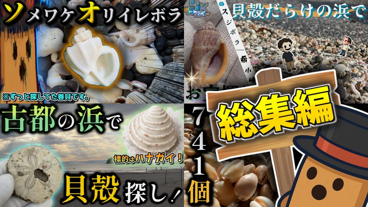 【ビーチコーミング】総集編、波打ち際のお宝探し！希少な貝殻を探し出せ！【ゆっくり実況　#6~#10】