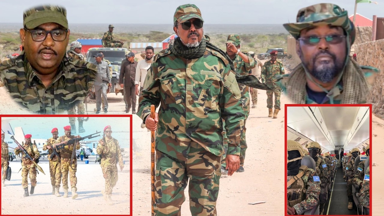 "Waa astaan amni darro, magaalada Muqdisho waa ka mamnuuc Hub culus" Madaxweyne Xasan Sheekh.