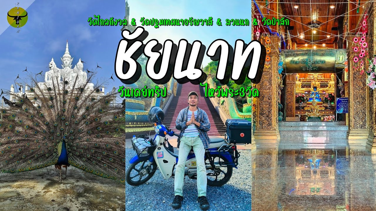 เที่ยวชัยนาท | เมืองรองต้องลอง1วัน ไหว้พระขอพรพร้อมชมสวนนกสุดตื่นตา | รันจวนทริป