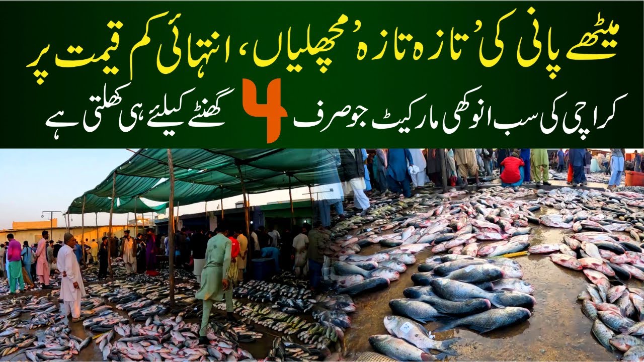 Karachi Ki Methey Pani Ki Machli Market | Karachi Biggest Sweet Water Fish Market