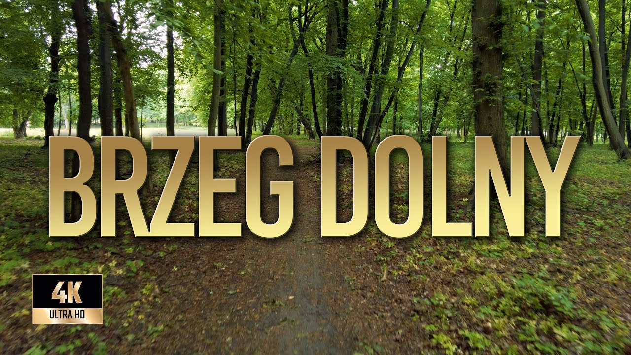 Brzeg Dolny | Wiosna 2022 | Spacer Brzeg Dolny | Binaural Audio 🎧 [4k]