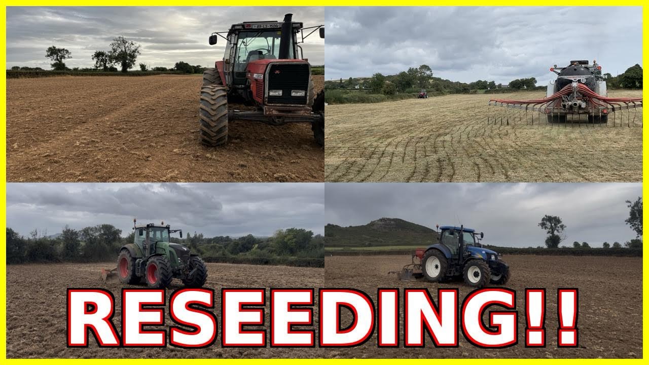 Reseeding with BIG Machinery! 🚜🌱