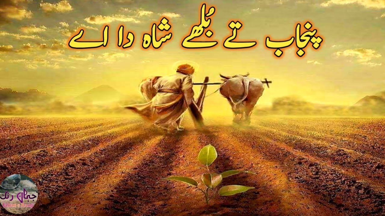Punjab tay Bullay shah da ay | punjabi shaeiry | poetry | Rizwan Nawaz Raja