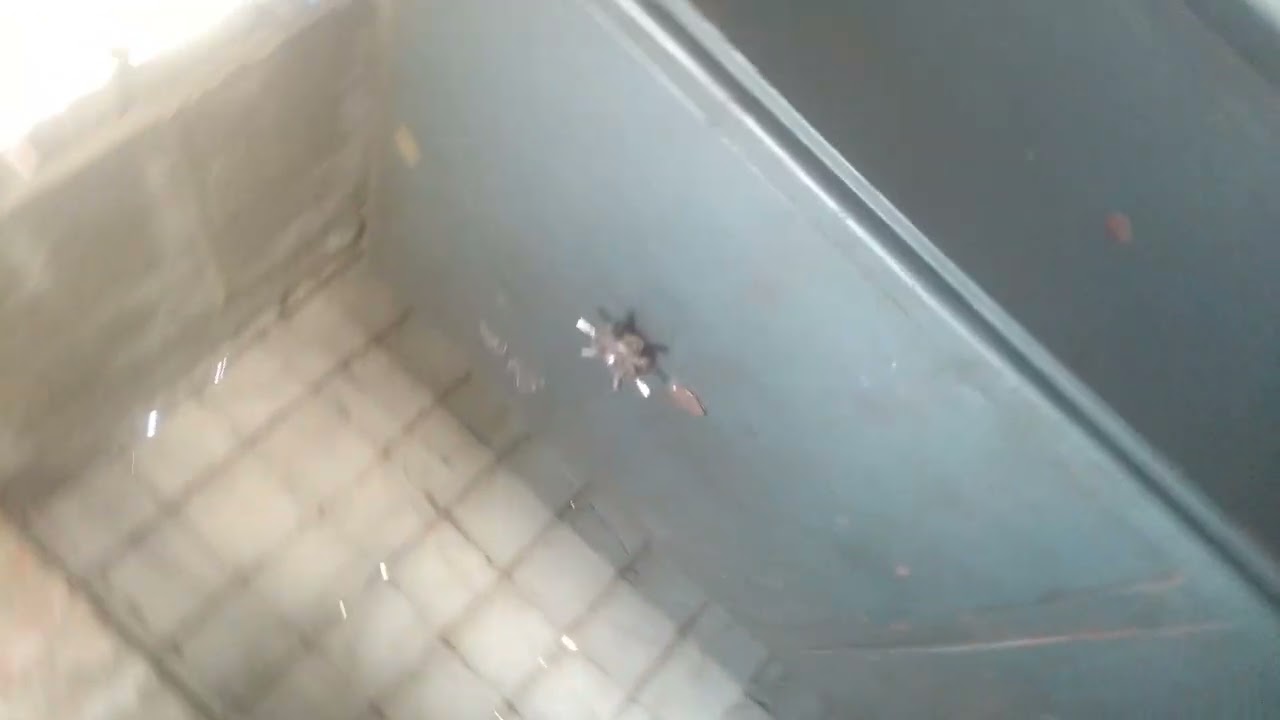 Home Culture For You See my home 143 #youtubeshorts #home #rihit #hitcollection