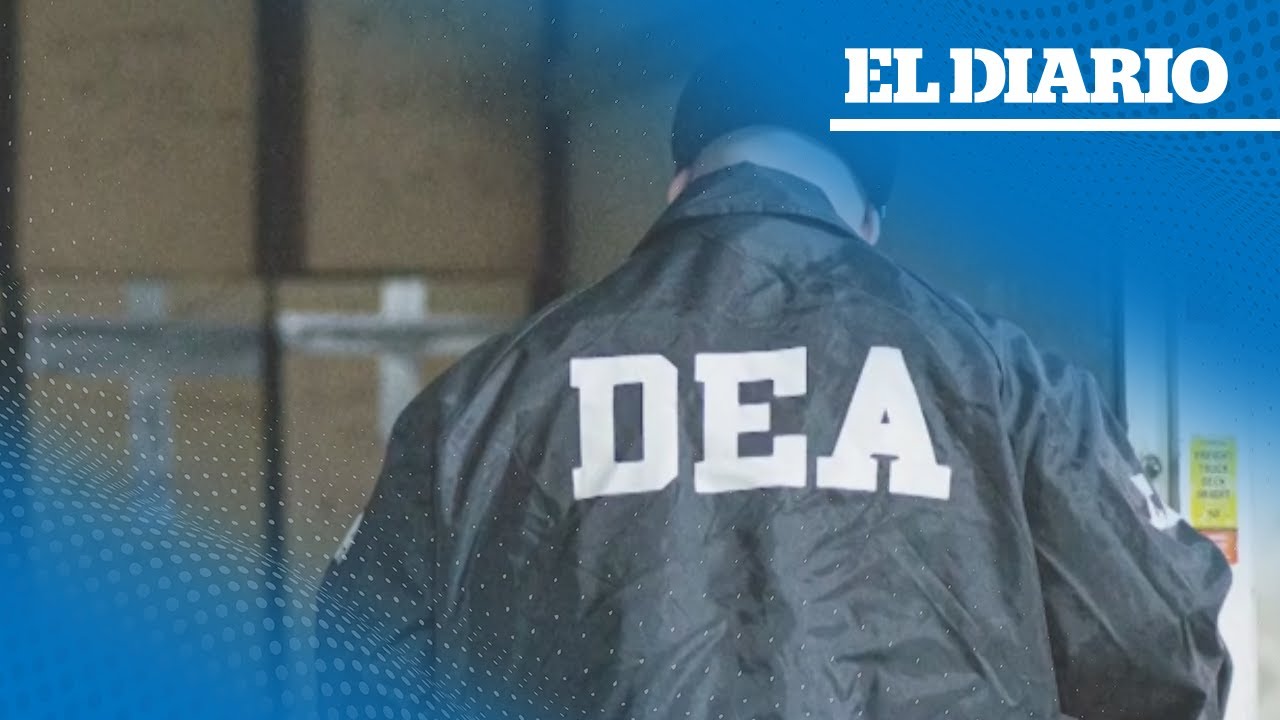 Los Chapitos ordenan detener la producción de fentanilo | El Diario