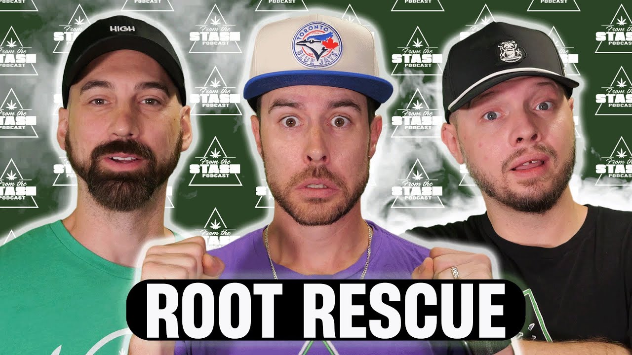 What&rsquo;s Really Killing Your Roots (and How to Fix It) - FTS Podcast Ep.260