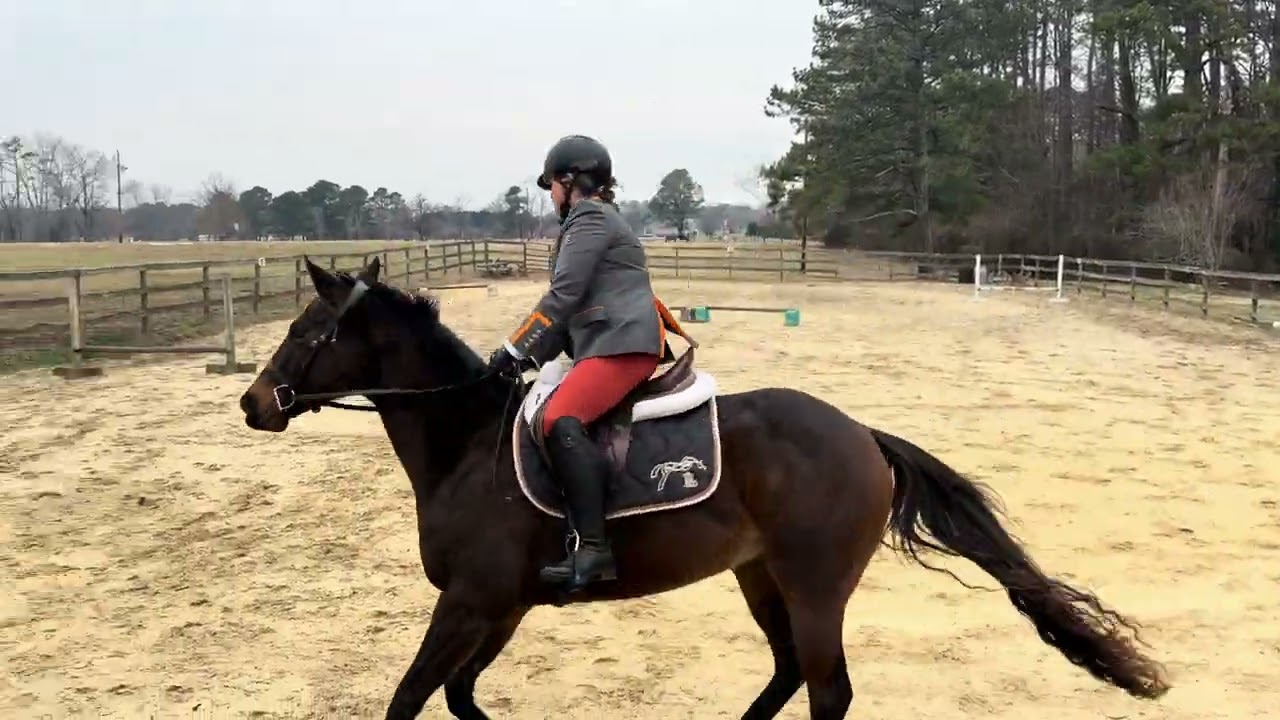 Class #15 open English Equitation over Fences     Nicole Batchen riding Heir to the Throne 