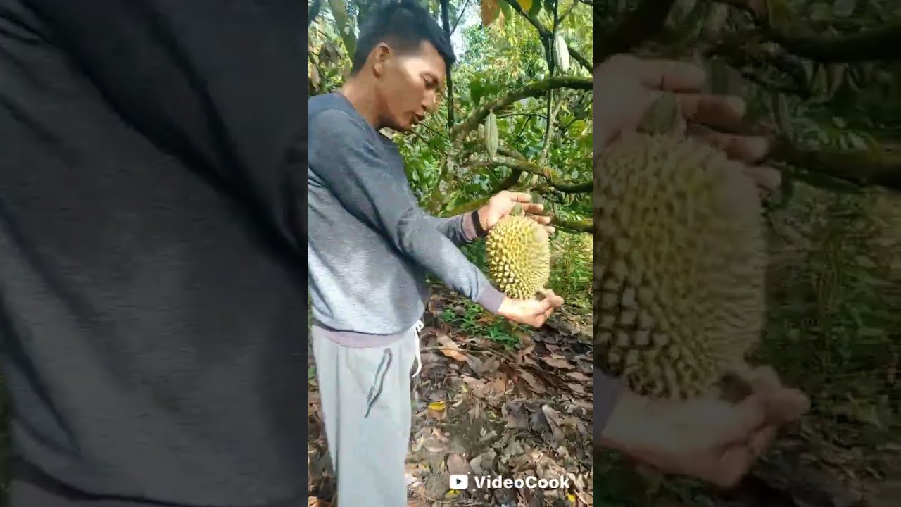 Touring ke Sidikalang,tiga lingga 