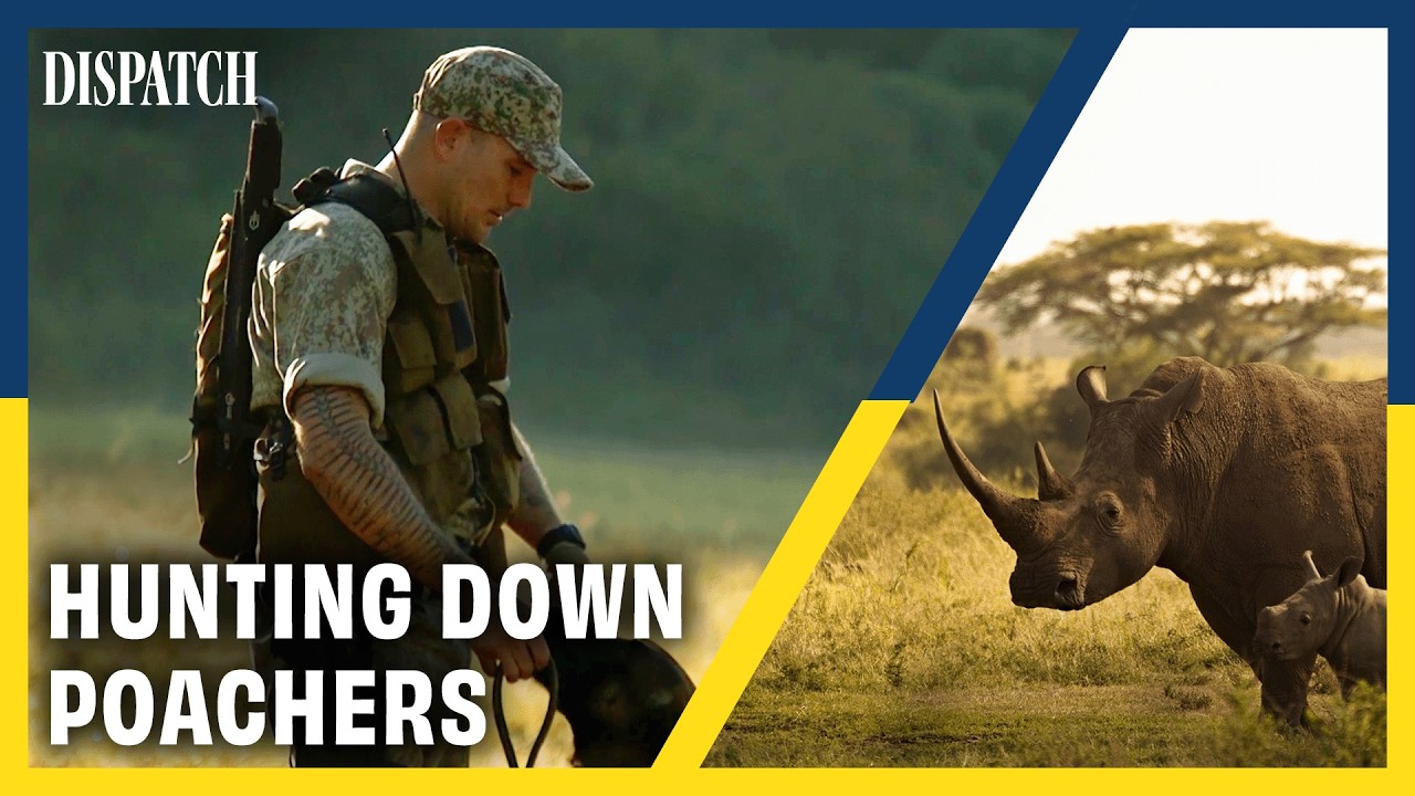 Hunting the Hunters: The Bloody War to Save South Africa&rsquo;s Rhinos | DISPATCH | HD Documentary