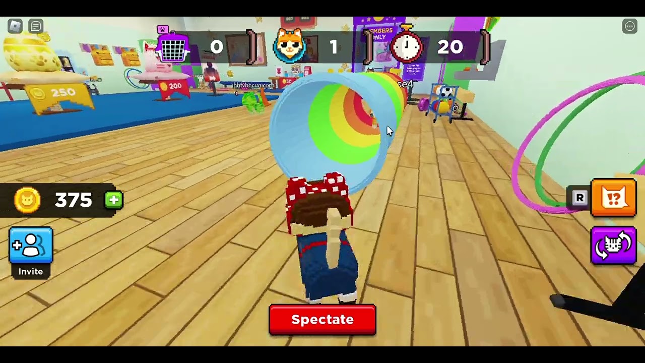 Play Cats Hide An Seek MEMORIES