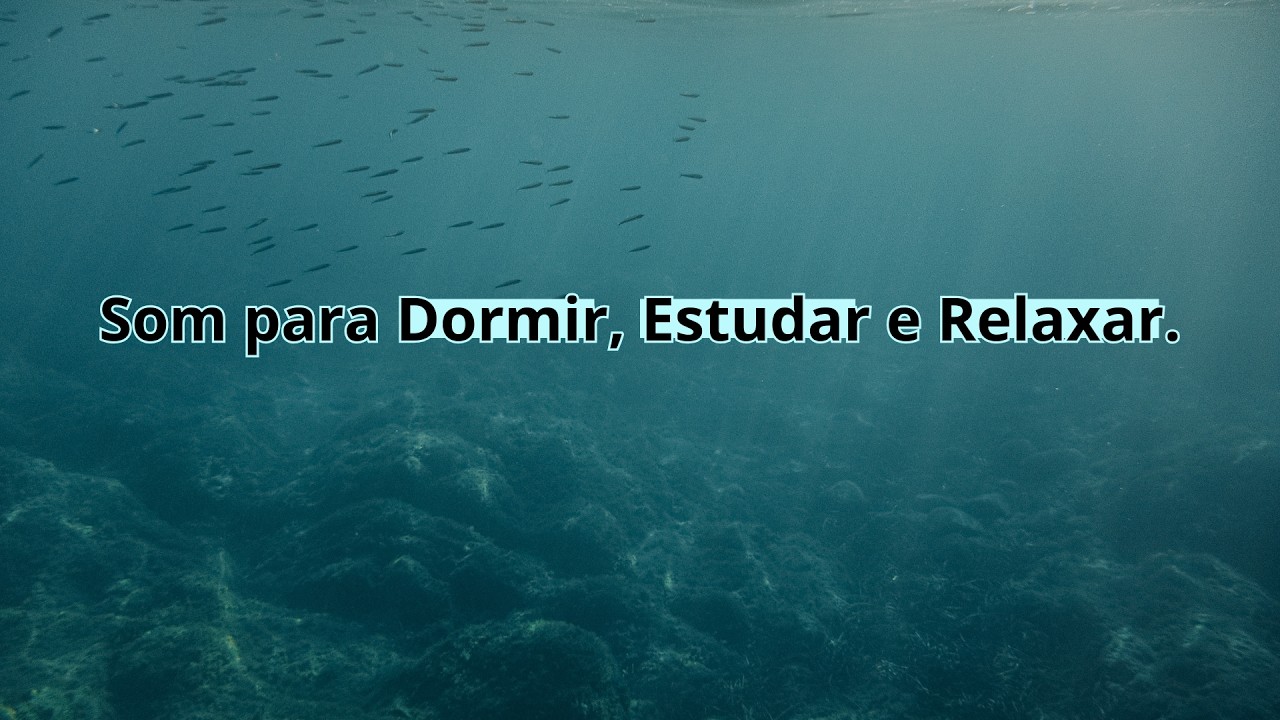 Música Para Dormir Profundamente ou Estudar e Manter o Foco: SOM DO MAR E GAIVOTAS.
