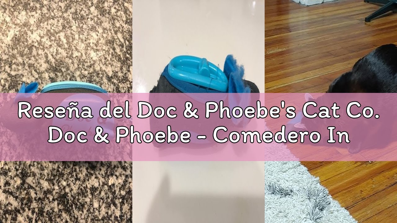 Reseña del Doc & Phoebe's Cat Co. Doc & Phoebe - Comedero Interactivo para Gatos de Caza, Talla únic
