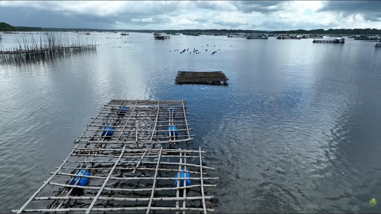 DA-BFAR's Success Story in Talaba & Tahong