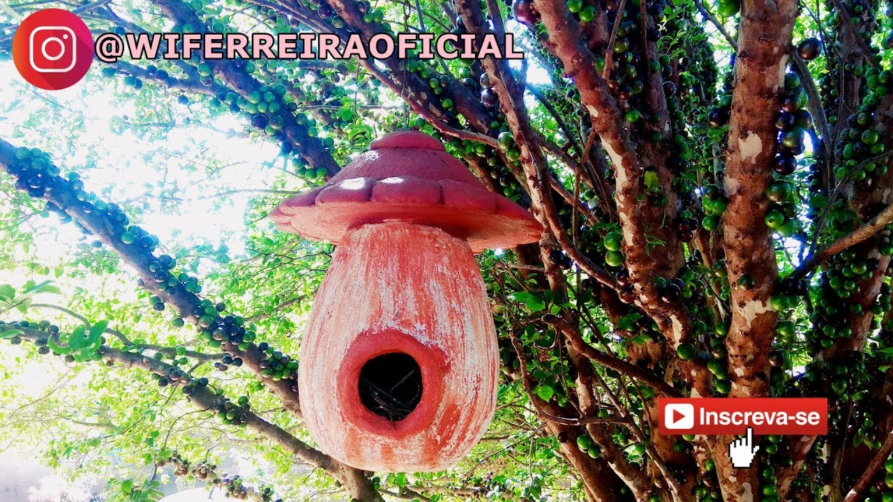 COMO FAZER CASINHAS DE PÁSSARO PARA DECORAR JARDIM !