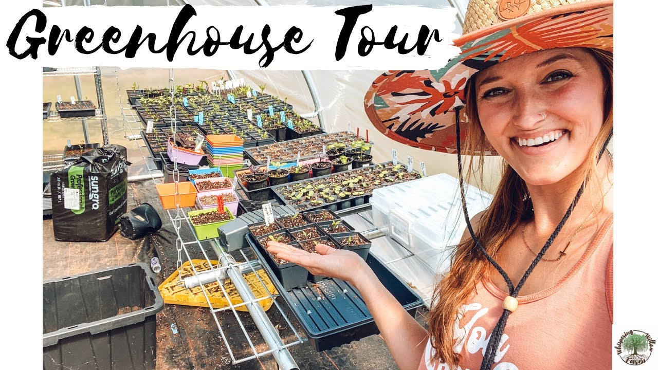 Greenhouse Tour 2021 |VLOG| Whispering Willow Farm
