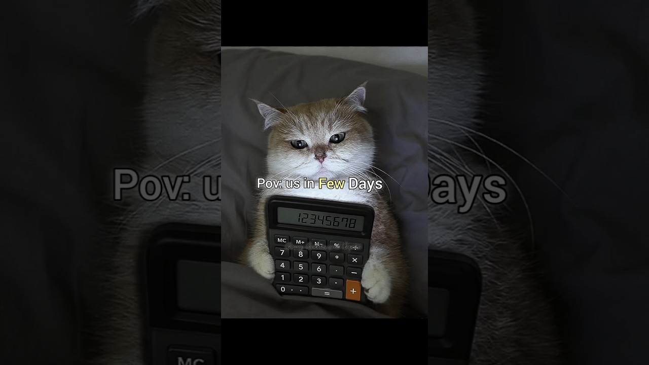 pov : us in few days school open 😺#lyricvideo #kpop #fypシ゚viral #1000k