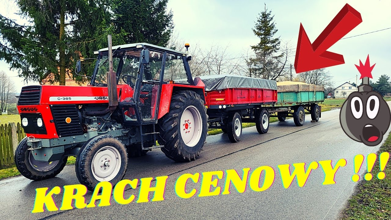 Krach Cenowy Transport Pszenicy URSUSEM C 385 na skup