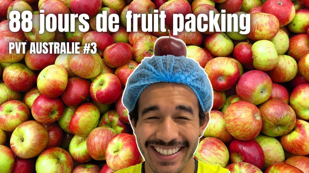 88 jours de fruit packing à Kirup