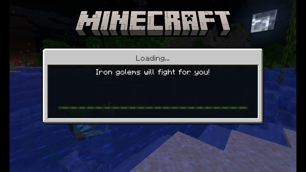 Ender dragon and nether in smp 