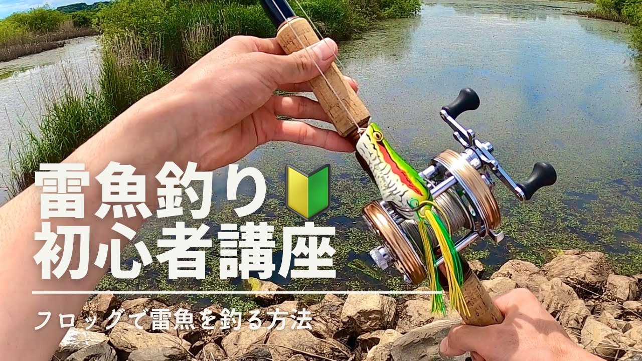 【雷魚釣り】見れば釣れる！ライギョの釣り方講座【フロッグ 実釣解説】