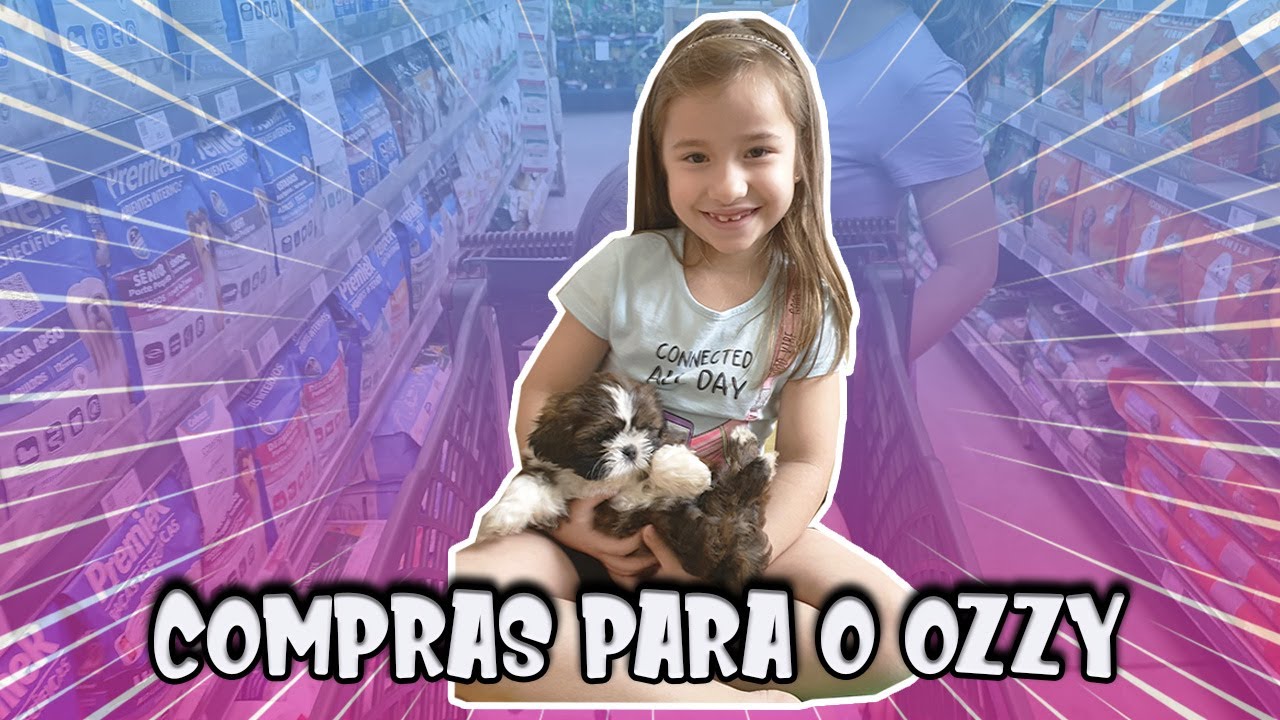 COMPRAS PARA MEU SHITZU - Fomos fazer nossa primeira comprinha para o Ozzy, o shitzu que ganhei.